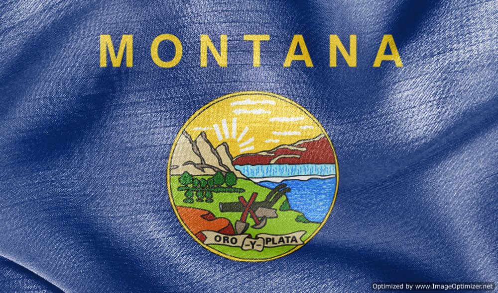 Southern Montana Electric Files for Bankruptcy 